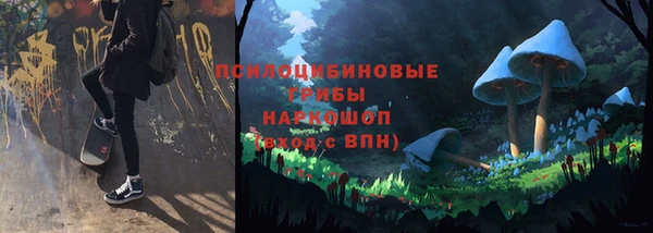 мдпв Кулебаки