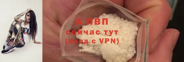 СК Красноперекопск